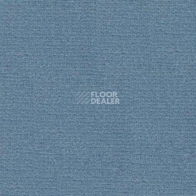 Ковролин Radici Abetone Bleu 2047 фото 1 | FLOORDEALER